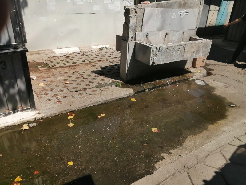 Отврат! Чешма в Асеновград ще ви откаже да пиете вода СНИМКИ