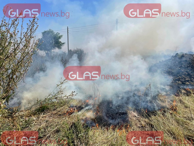 Пожар гори край Пловдив. Сухи треви горят на 4-ти километър