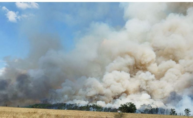 Пожарът край Казанлък, избухнал на територията на военния полигон „Тюлбето“