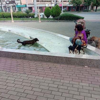 Една снимка на жена придружена от три кучета която е
