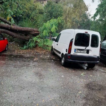 Дървета паднаха върху коли в Пазарджик, наводнени са и мазета