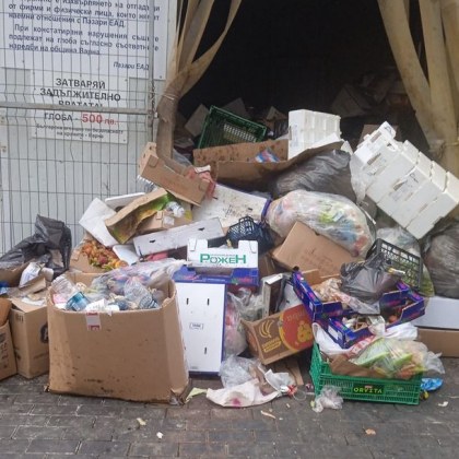 Притеснени граждани сигнализират за пореден проблем с боклука на град