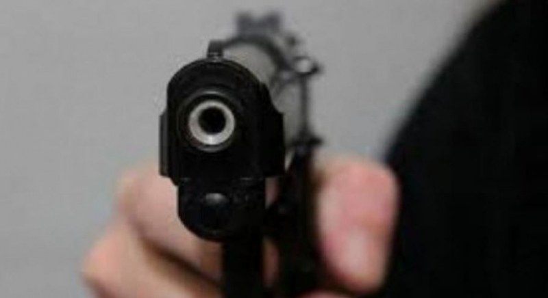 Застреляха куче по улиците на наш град
