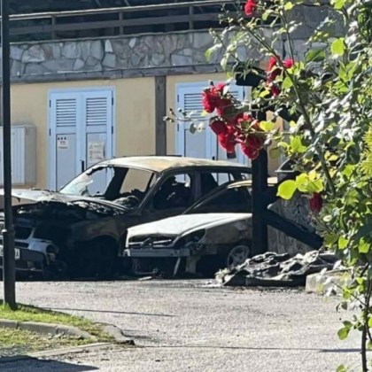 9 коли изгоряха в Банско СНИМКИ
