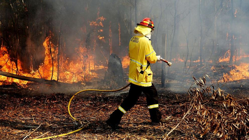 Огромен горски пожар бушува на площ от 428 кв. км