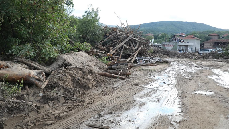 Донесените от водата дърва в Карловско остават за хората