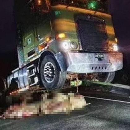 Шофьор на камион катастрофира тежко на път в Австралия Тираджията