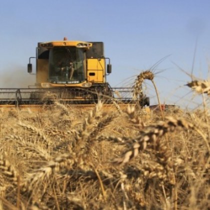 Зърнопроизводители от цялата страна излизат на национален протест Земеделци недоволстват