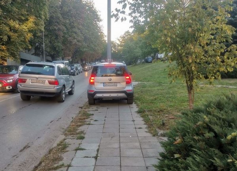Шофьор успя да се прояви. Плевенчанин: Ще има ли урок за назидание? СНИМКА
