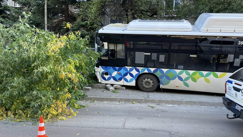 След катастрофата с автобус: 7 души остават в болница