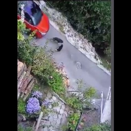 Видео с ужасяваща постъпка на шофьорка от Смолян ядоса мрежата На