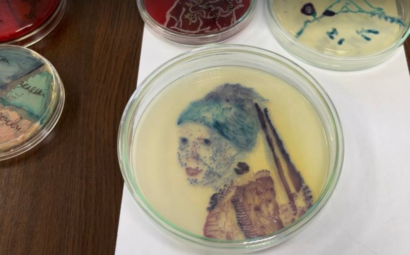 Млади учени рисуват с микроби в МУ-Пловдив СНИМКИ