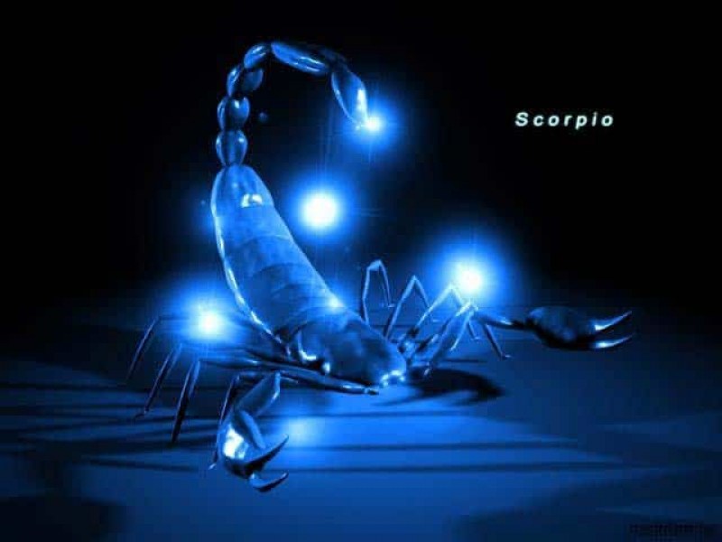 Скорпионът е осмият зодиакален знак и се управлява от Плутон.