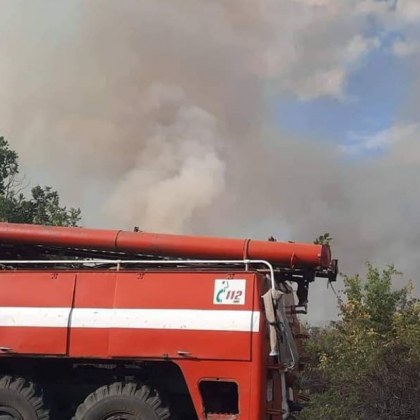 Стърнище с ожъната царевица е запалено на пътя Пловдив Садово днес