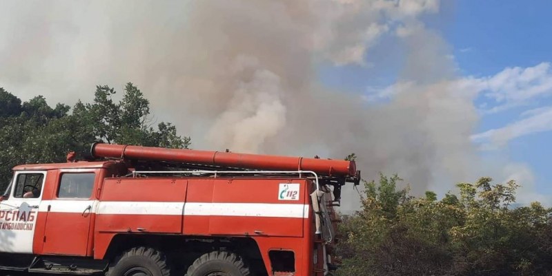 Пожар гори край път в Пловдивско