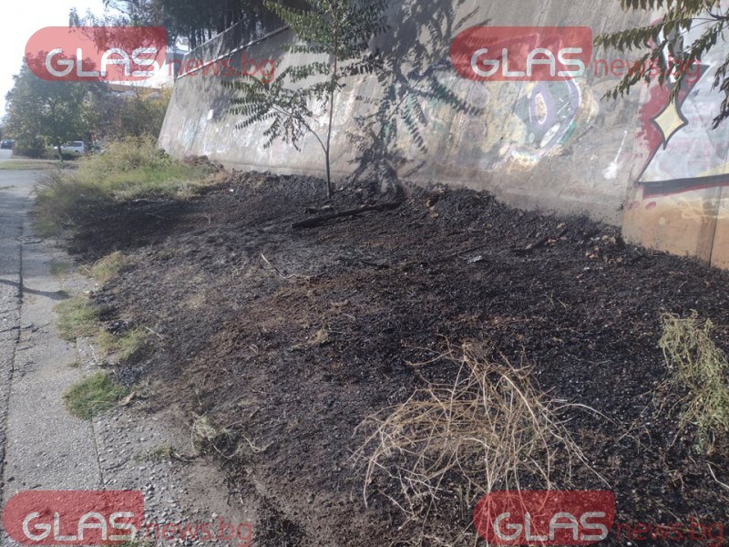 Пожар горя до бензиностанция в Пловдив СНИМКИ