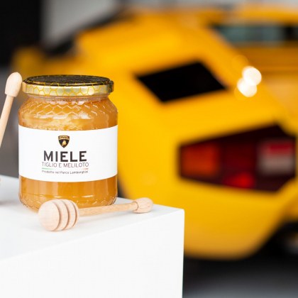 Lamborghini е една от най популярните автомобилни марки в световен мащаб