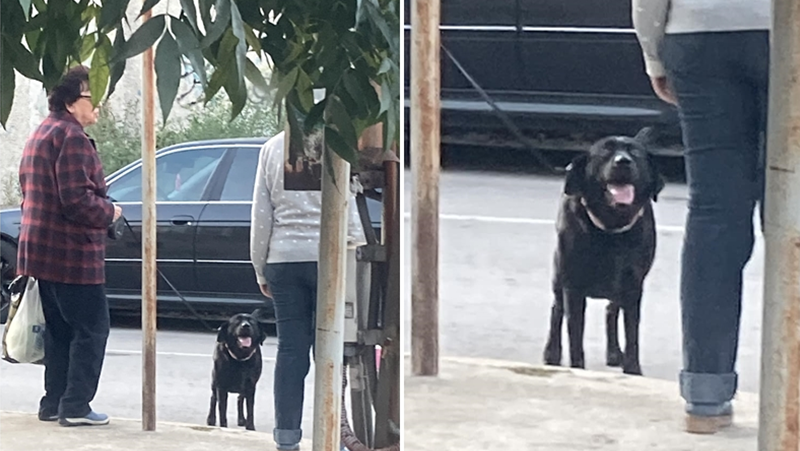 Възрастни жени възмутиха русенци с постъпката си