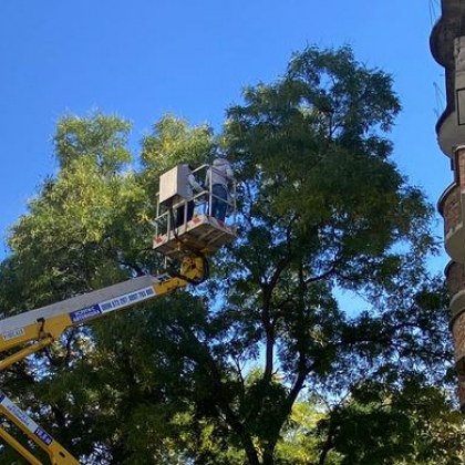 Пловдивчани сами успяха да помогнат на котката която беше заседнала