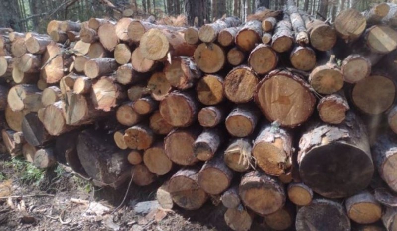 С колко поскъпнаха дървата за отопление преди зимата