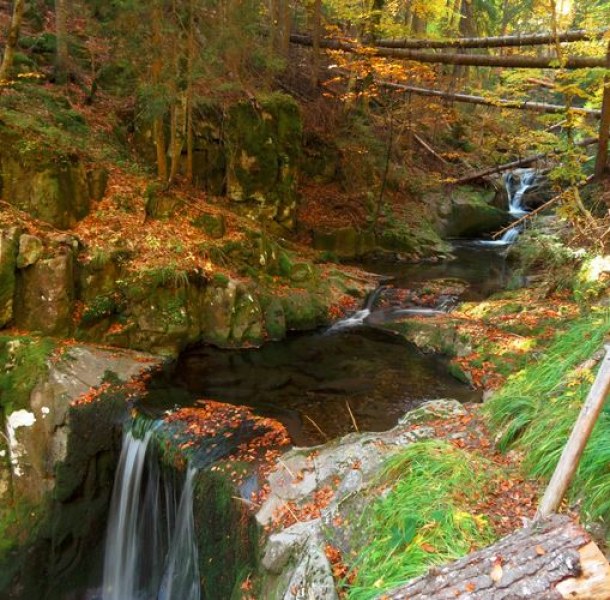 Идеалната екопътека за есенна разходка в Родопите СНИМКИ