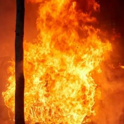 Двама 16-годишни са заловени за палеж в Пловдив