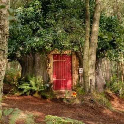 Airbnb си партнира с Disney за да построи къщата на
