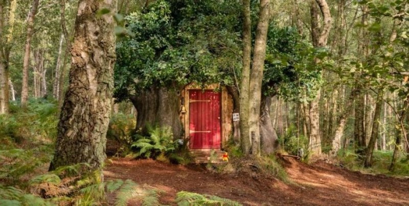 Airbnb си партнира с Disney, за да построи къщата на