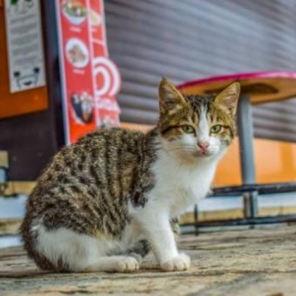 Питане отправено от гражданин в група в социалната мрежа събуди