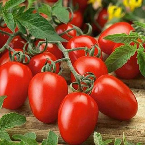 Имате ли познати, които не харесват въобще доматите? Вероятно да.Но