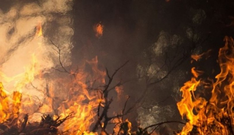 Четвърти ден продължава гасенето на пожара на българо-гръцката граница в