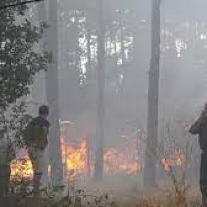 Странджа в района на село Стоилово гори Пожарът е на