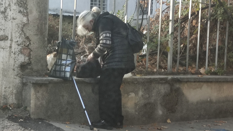 Възрастна жена прибра котка от улицата, мрежата прегря от коментари