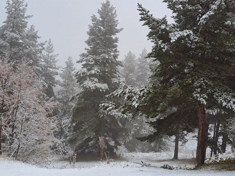 Сняг вали по високопланинските села в Родопите. В повечето райони