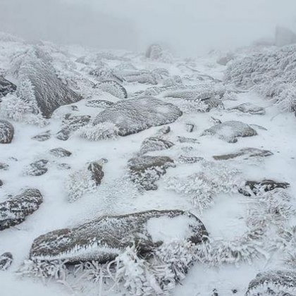 На Черни връх падна първият сняг Снимките бяха публикувани от 