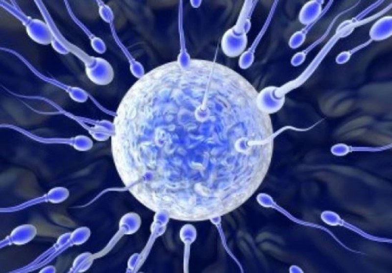 Мъжете с все по-малко сперматозоиди