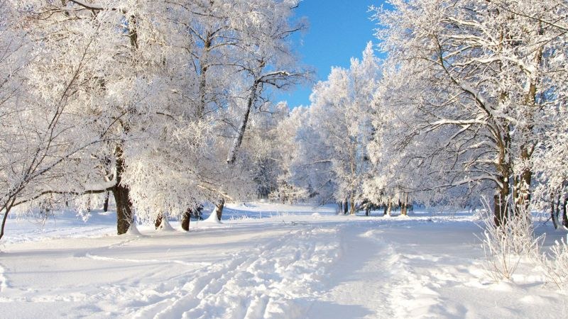 Сняг пада в следващите дни, ето къде