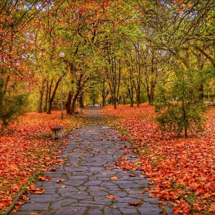 Днес в сутрешните часове и в източните райони валежите ще спрат