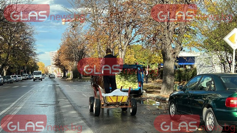 Каруца мина по централна улица в Асеновград необезпокоявано  СНИМКИ