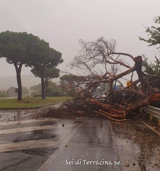 Силна буря връхлетя Италия, обявиха извънредно положение СНИМКИ+ВИДЕО