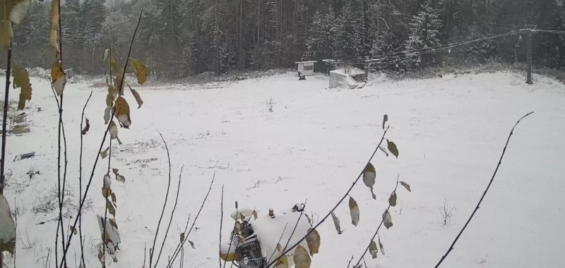 Снеговалежите в страната продължават. Тази сутри бяла покривка зарадва жителите