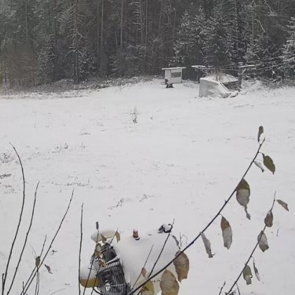 Снеговалежите в страната продължават Тази сутри бяла покривка зарадва жителите