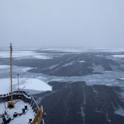 Всяка година арктическият морски лед става все по уязвим той