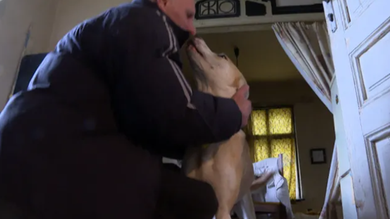 Разбиха частен дом, за да освободят кучето, което отчаяно виеше за помощ