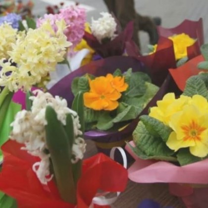 Жена от Пловдив опитва да изкара средства като продава цветя