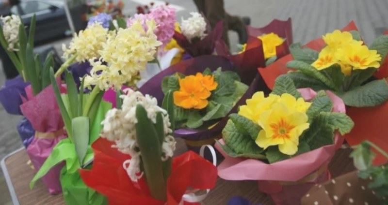 Жена от Пловдив опитва да изкара средства като продава цветя.