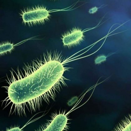Осмо дете почина от бактериална инфекция във Великобритания за последните
