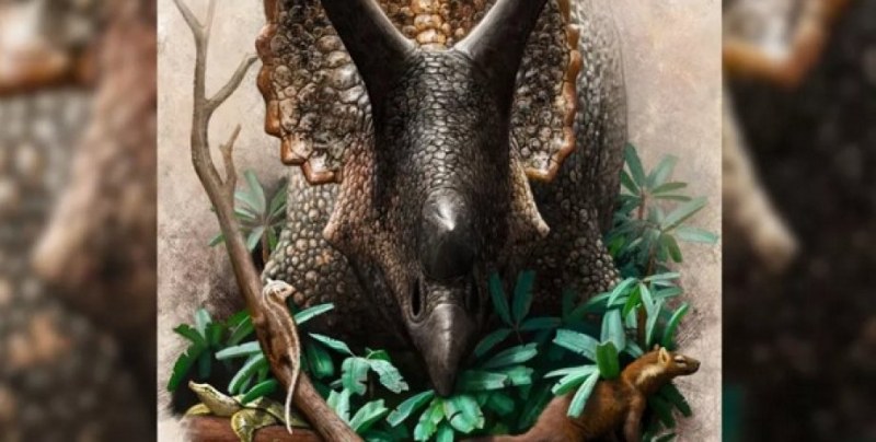 Повечето от динозаврите са измрели, когато огромен астероид с диаметър