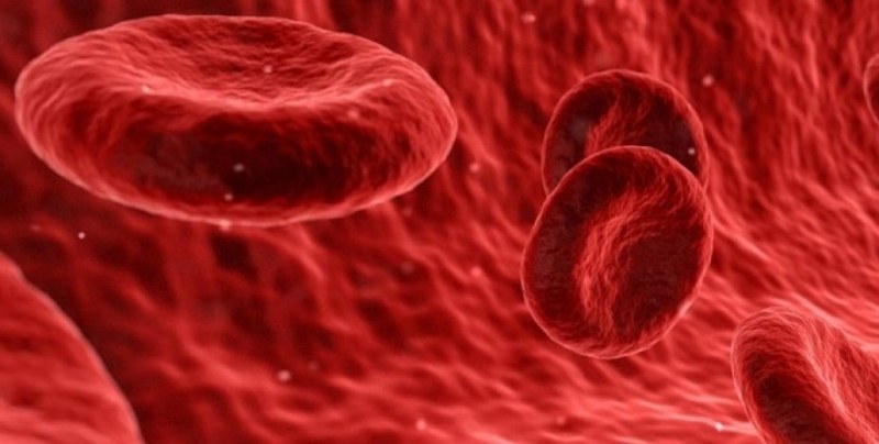 Стартира първото в света лабораторно изпитание за кръвопреливане ВИДЕО