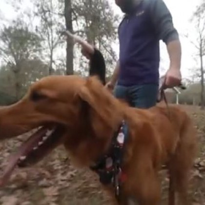История с щастлив край от Съединените щати Домашно куче откри